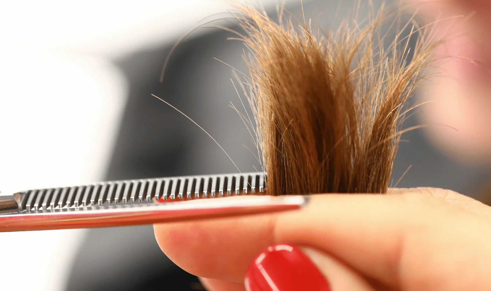 موخوره - درمان موخوره با سرکه