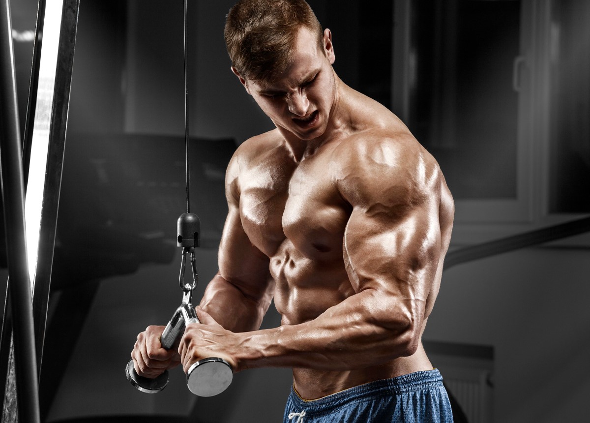 بدنسازی - چاقی هیپرتروفی