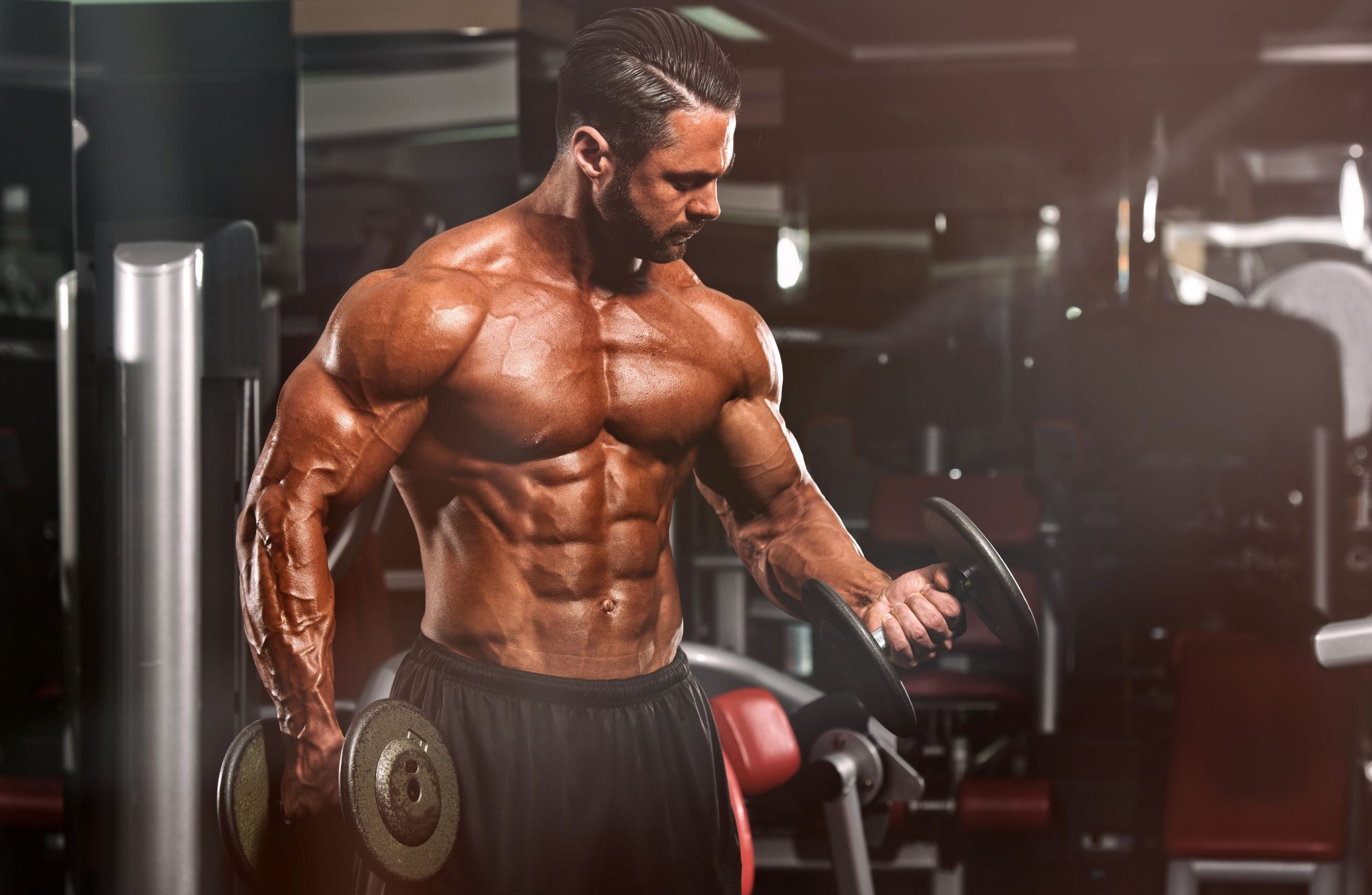 رشد ماهیچه ها - چاقی هیپرتروفی