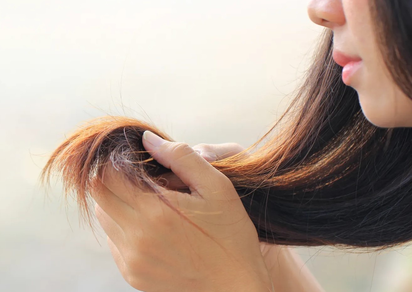 درمان خانگی موخوره - درمان موخوره با سرکه