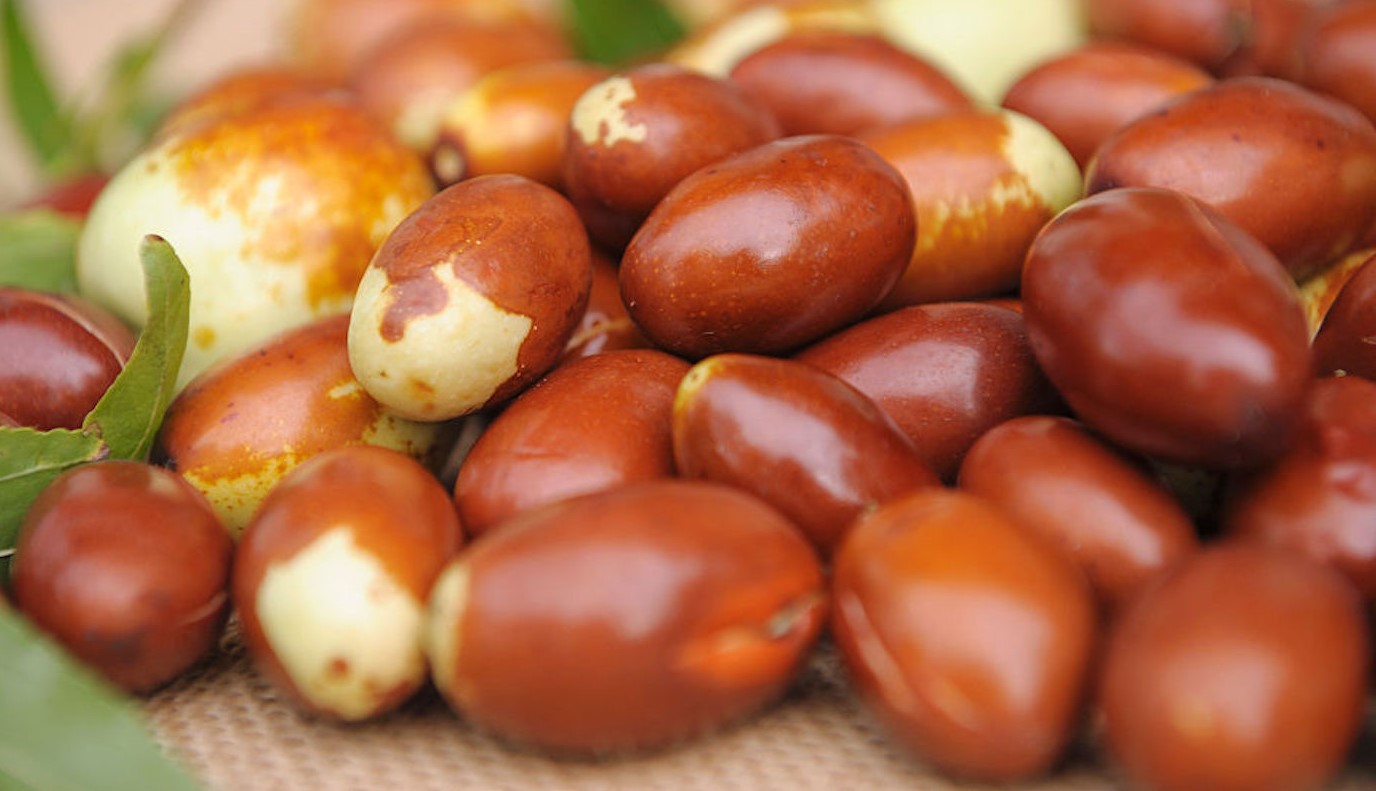 خواص عناب - خواص عناب برای لاغری