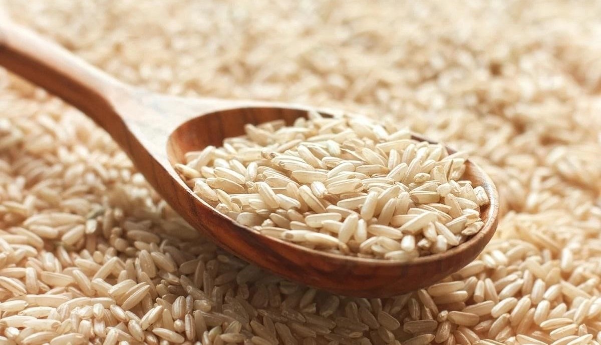 مصرف برنج قهوه ای - برنج قهوه ای برای لاغری