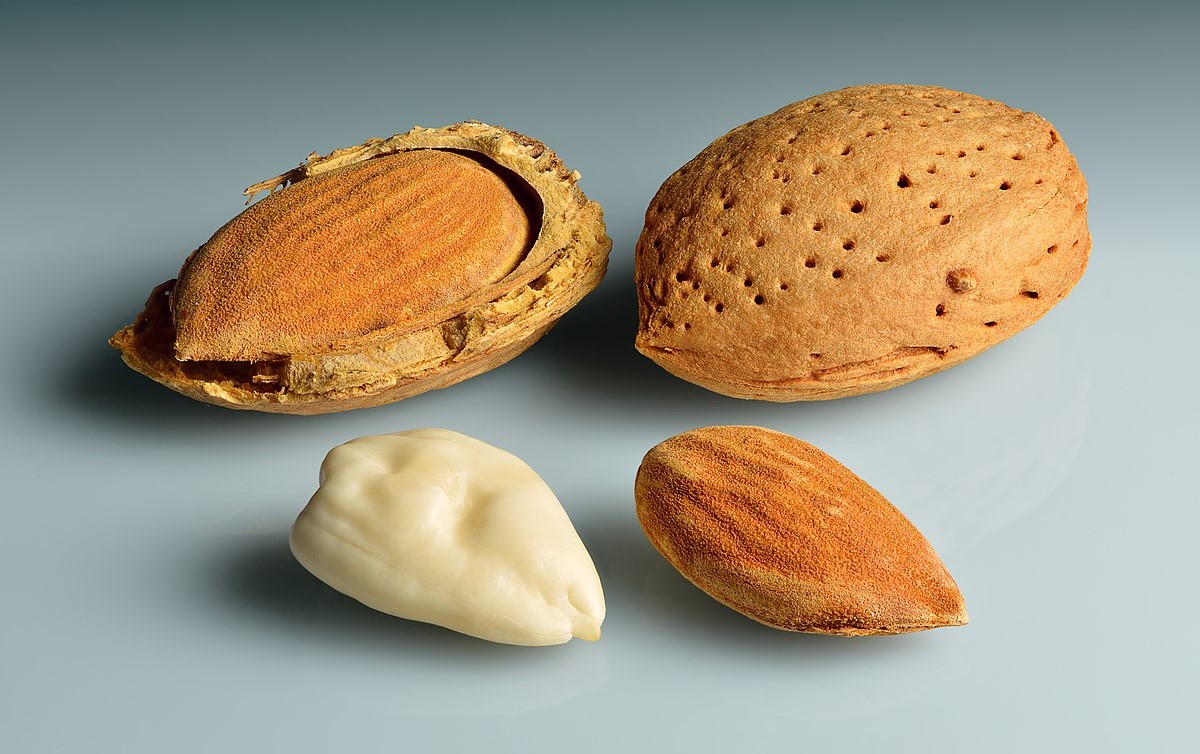 بادام درختی - خوراکی های رژیمی سوپرمارکت