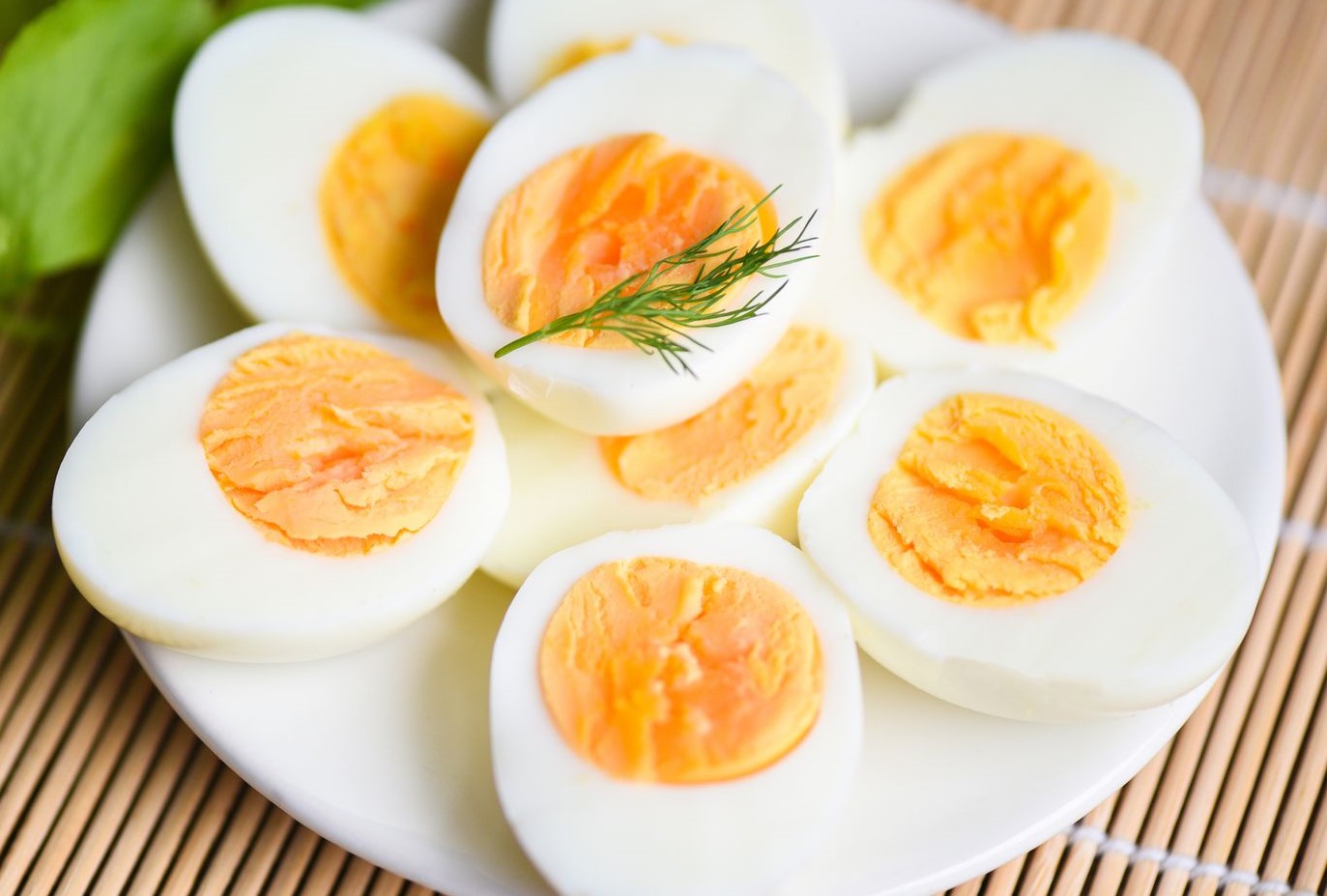 تخم مرغ آبپز - رژیم لاغری تخم مرغ