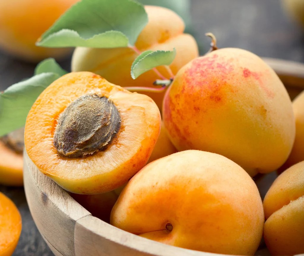 زردآلو - مواد غذایی پروتئین دار