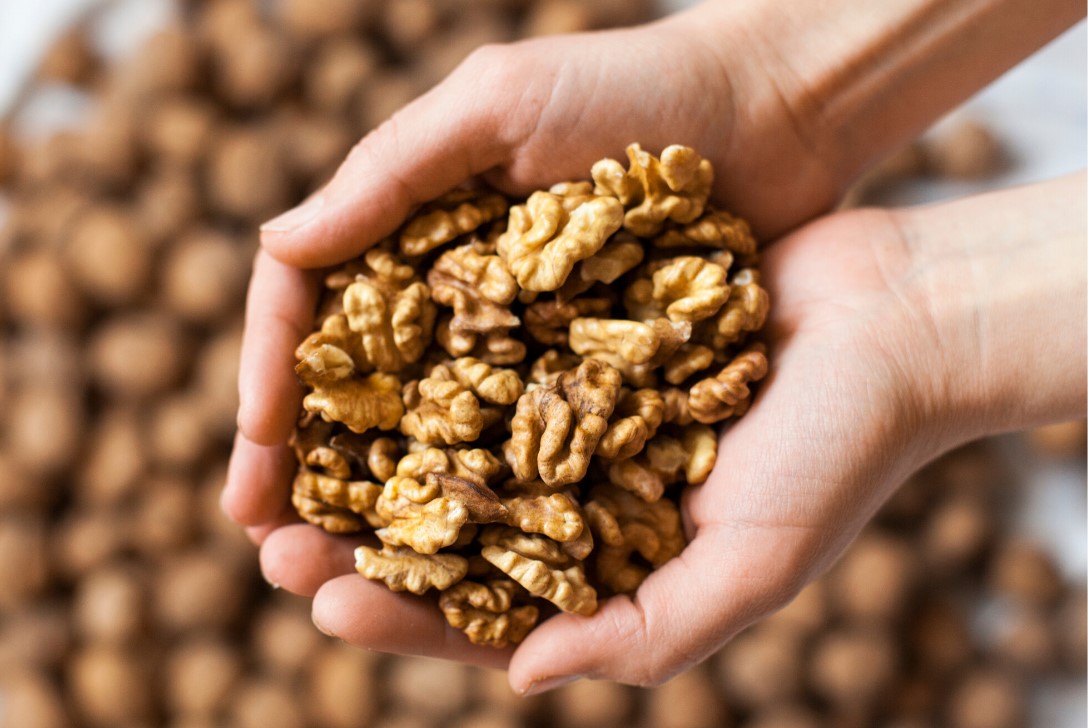 بهترین زمان مصرف گردو - گردو برای لاغری