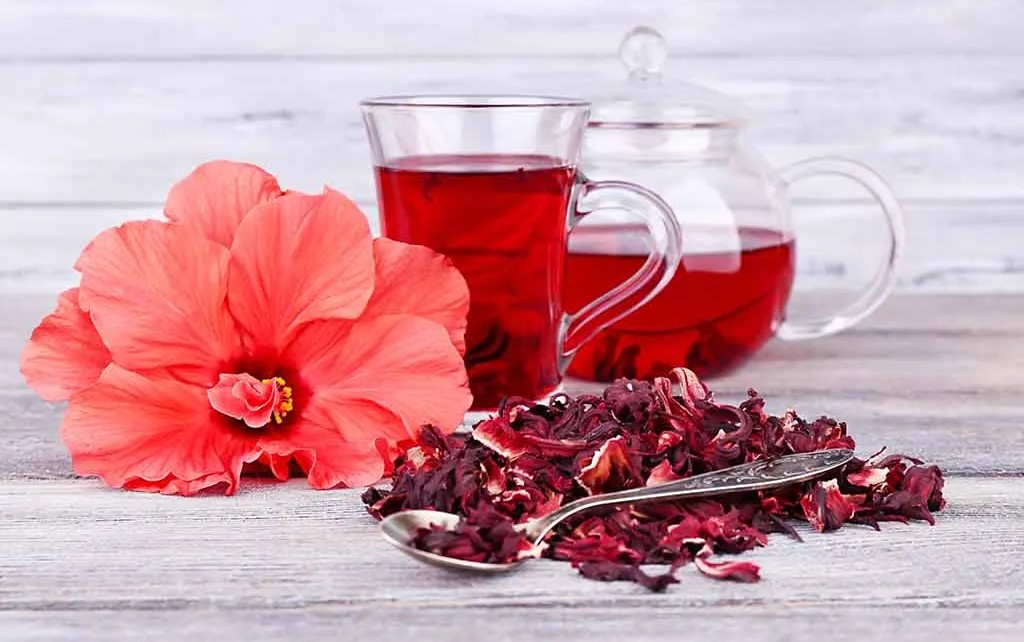 نحوه مصرف چای ترش - چای ترش برای لاغری