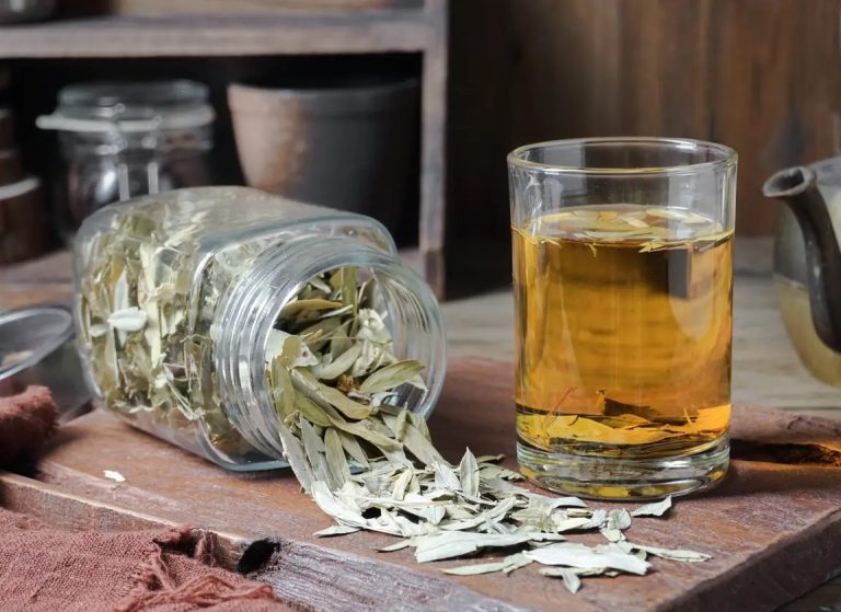 خواص برگ سنا برای لاغری