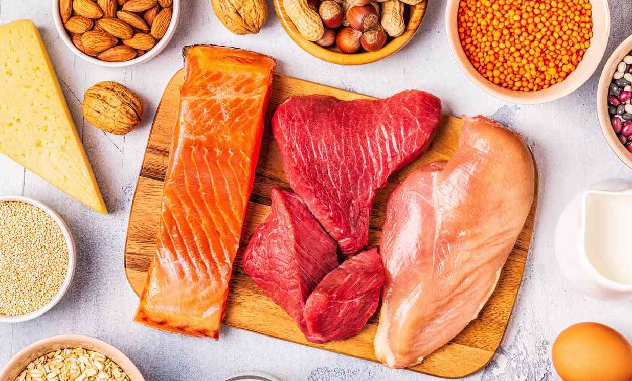 رژیم پروتئین - رژیم پروتئین برای لاغری سریع