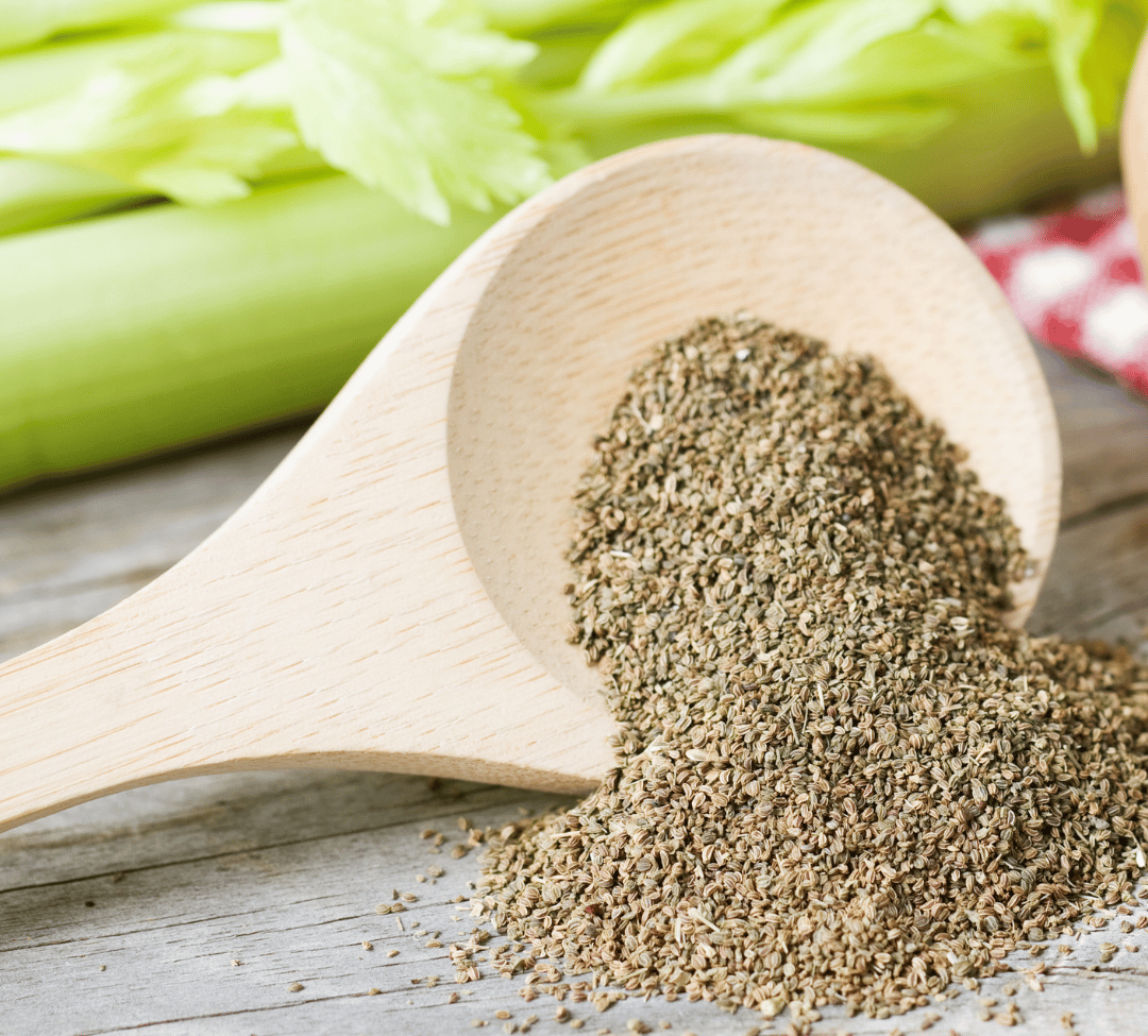 خواص تخم کرفس - تخم کرفس برای لاغری