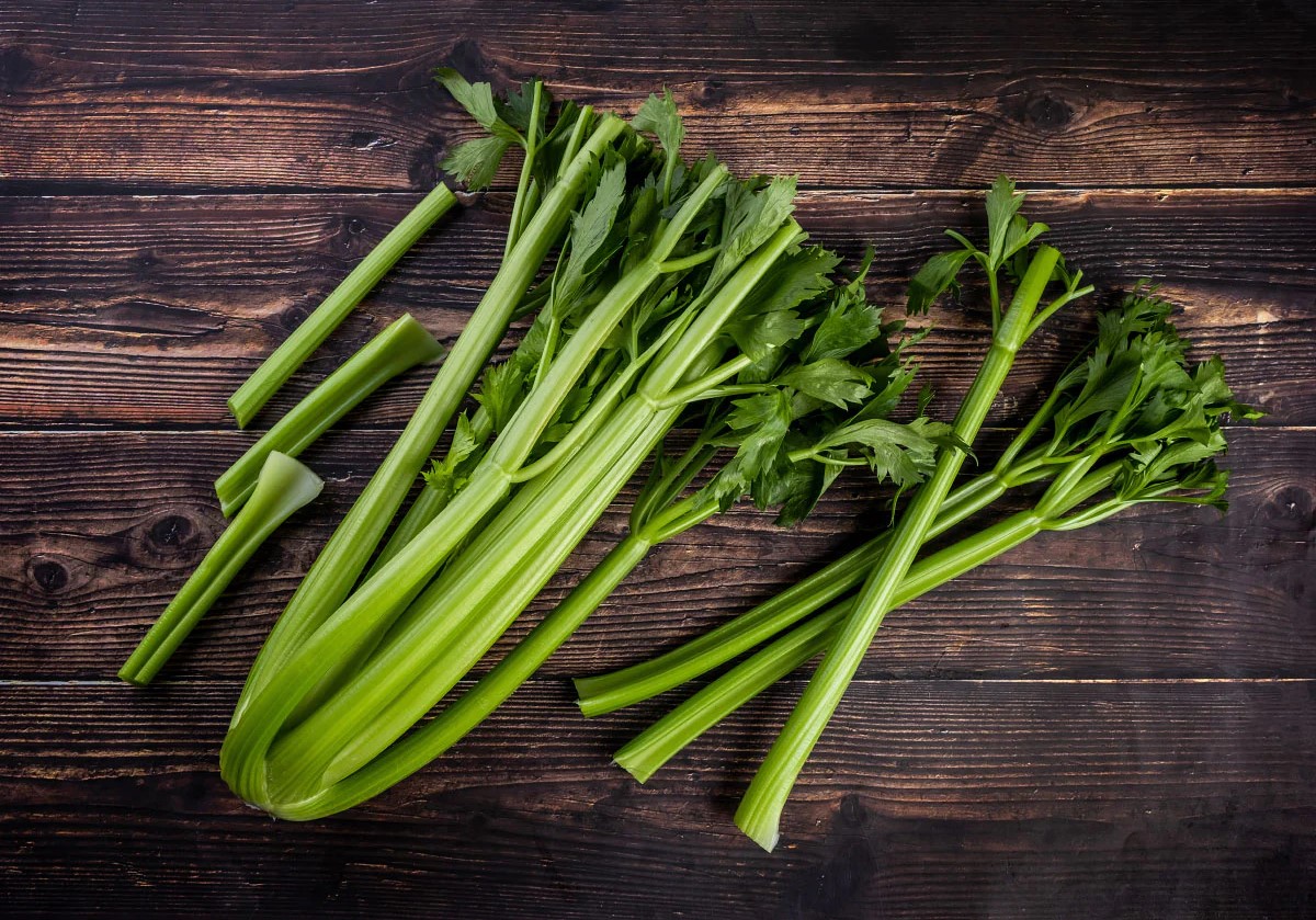 آب کرفس - تخم کرفس برای لاغری