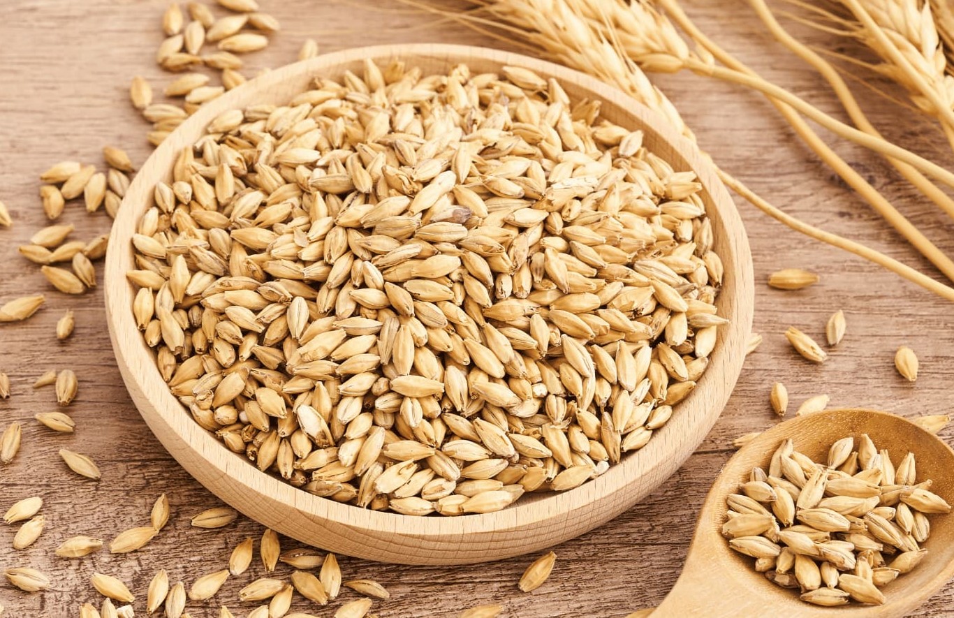 پودر جوانه گندم - پودر جوانه گندم برای چاقی صورت