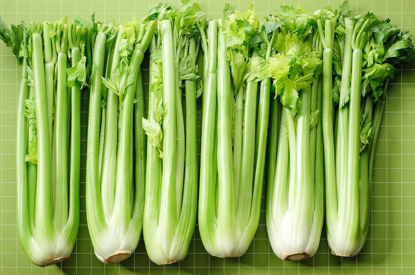 غذاهای لاغر کننده - عرق کرفس برای لاغری