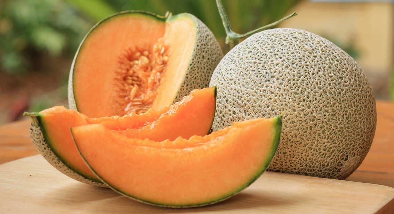 خربزه - میوه های چاق کننده