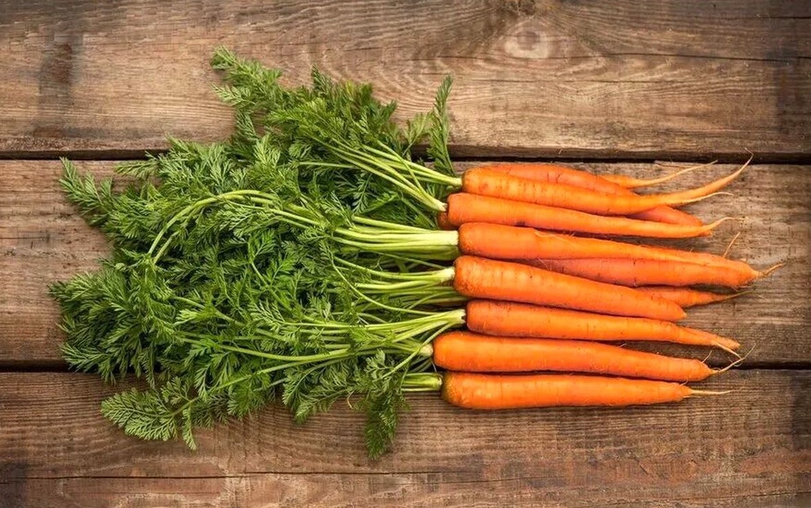 هویج - میوه های مجاز در رژیم کتوژنیک