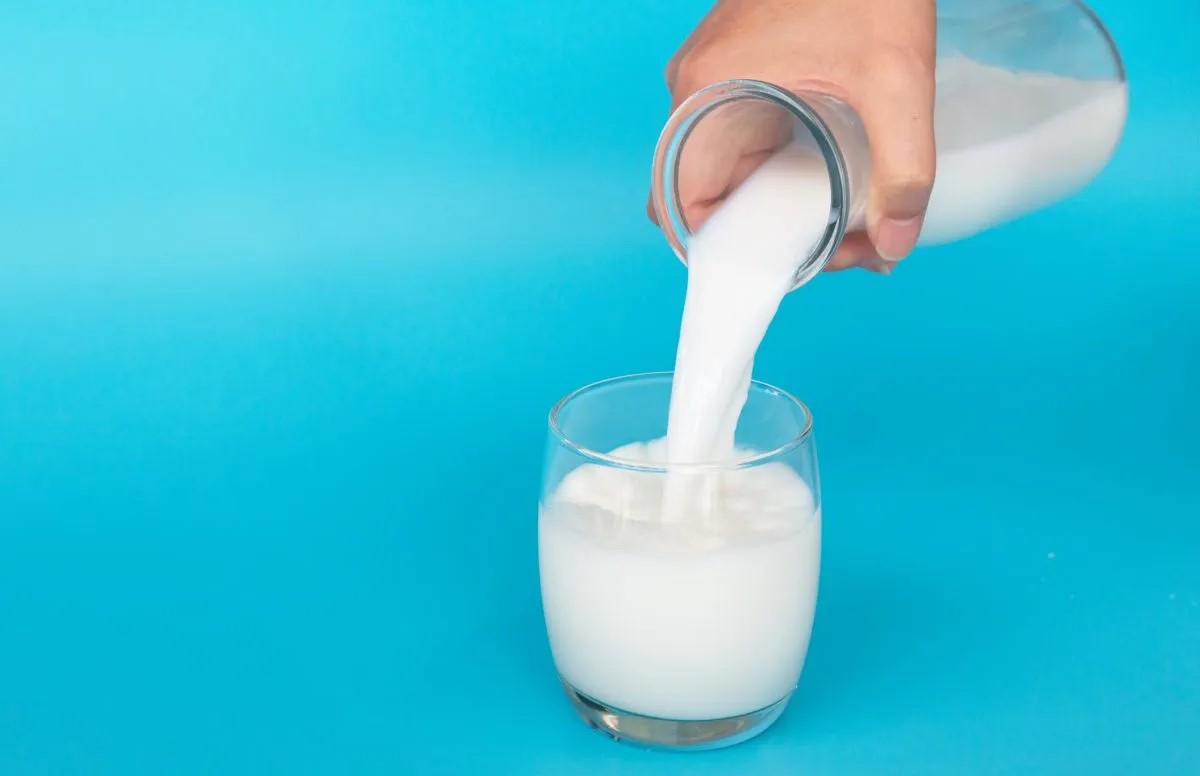 رژیم لاغری شیر - رژیم شیر