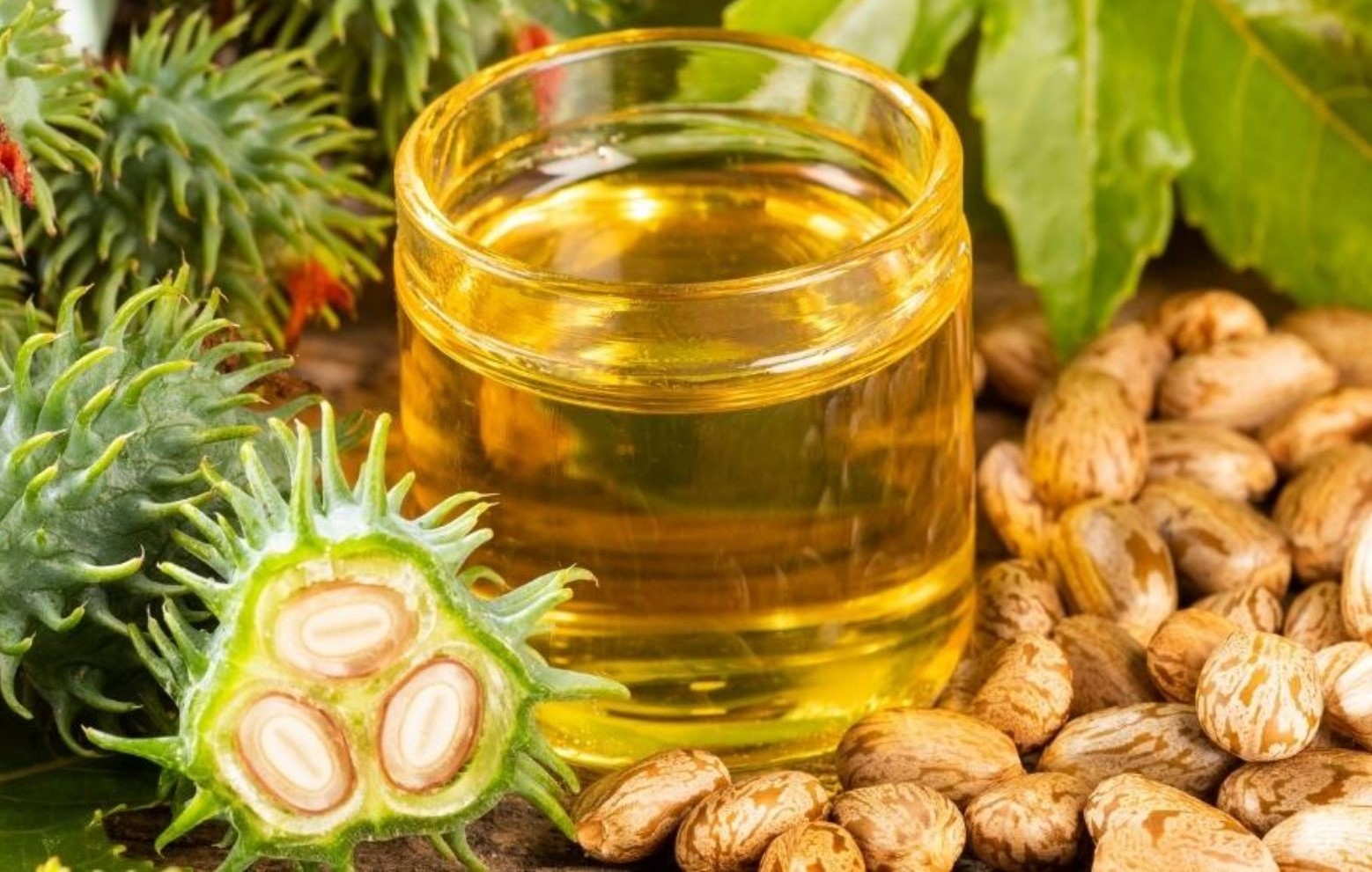 نحوه استفاده از روغن کرچک برای لاغری