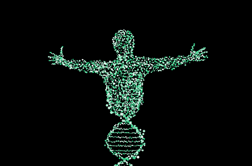 چاقی ژنتیکی - درمان چاقی ژنتیکی