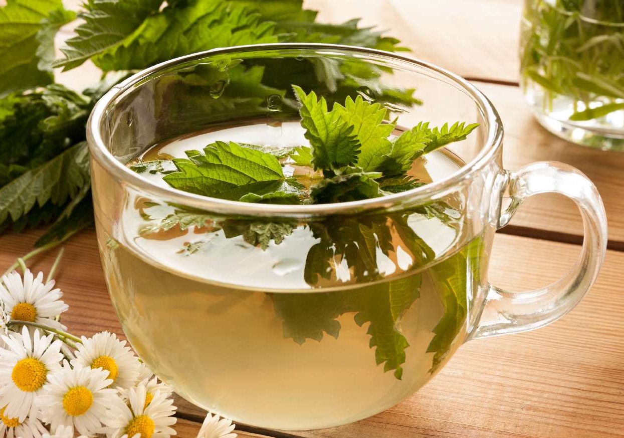 دمنوش گزنه - دمنوش گزنه برای لاغری