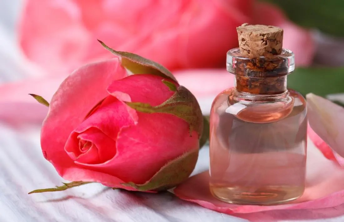 گلاب برای پوست - درمان جوش صورت با گلاب