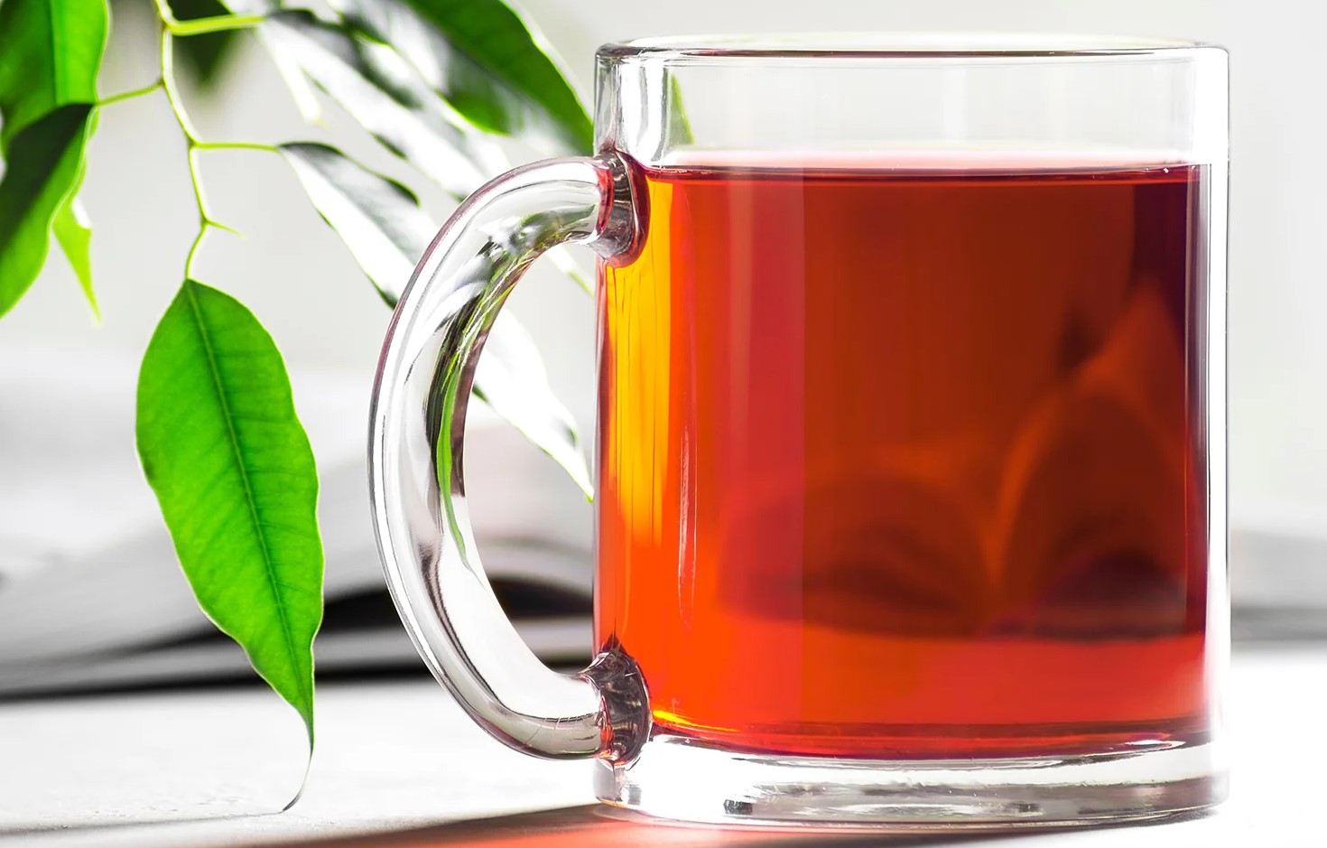 چای سبز - دمنوش لاغری صبح ناشتا