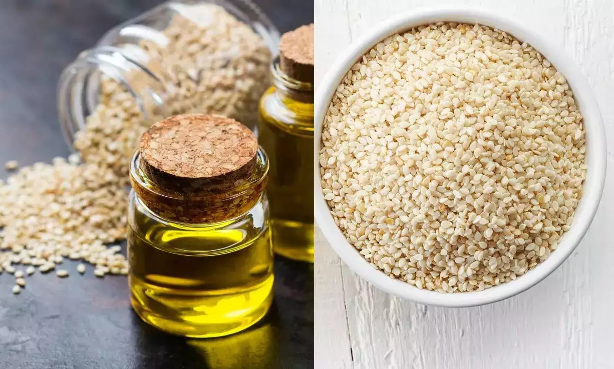 روغن کنجد - خواص کنجد برای لاغری