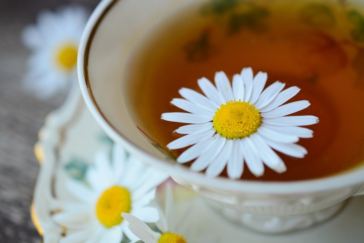 دمنوش بابونه - بهترین دمنوش برای نفخ شکم