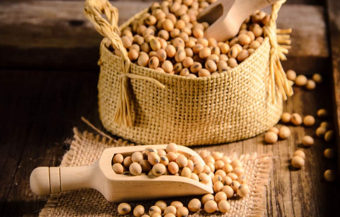 سویا - خواص سویا برای لاغری