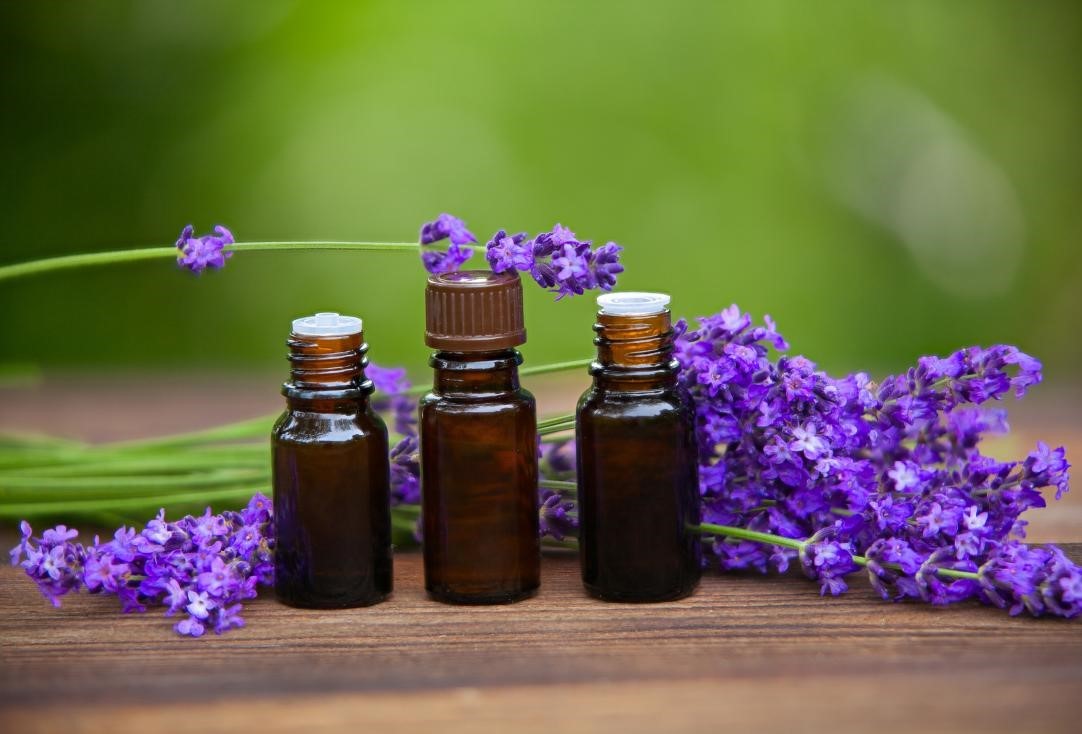 روغن بنفشه - روغن بنفشه برای چاقی صورت