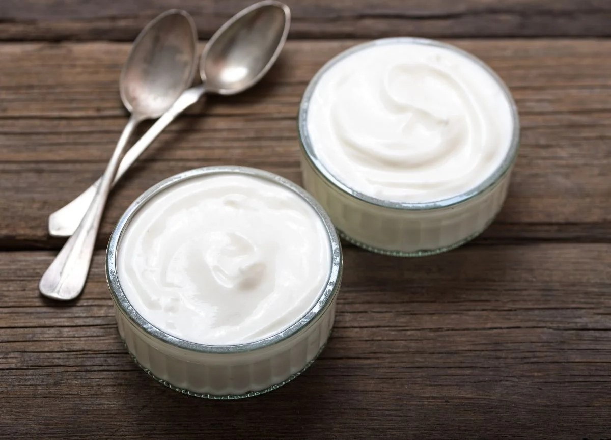 ماست یونانی - پروتئین ماست یونانی بیشتر است یا ایسلندی
