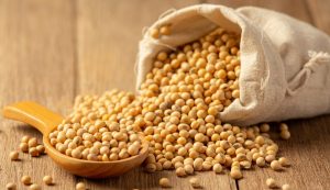 خواص سویا برای لاغری