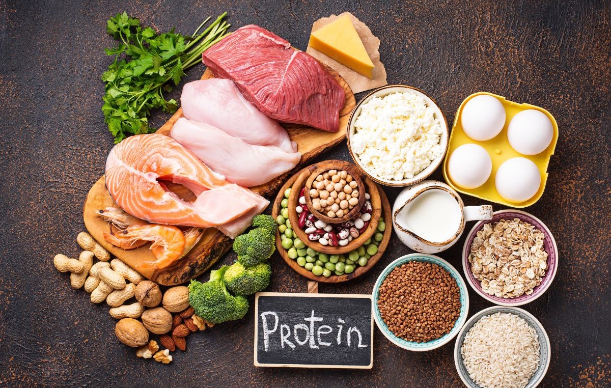 پروتئین - بهترین رژیم لاغری