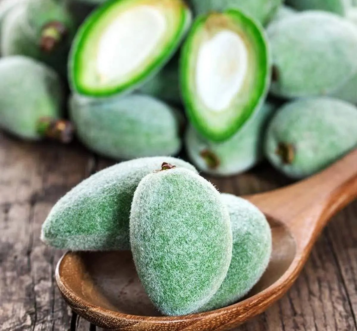 چغاله بادام - خواص چغاله بادام برای لاغری