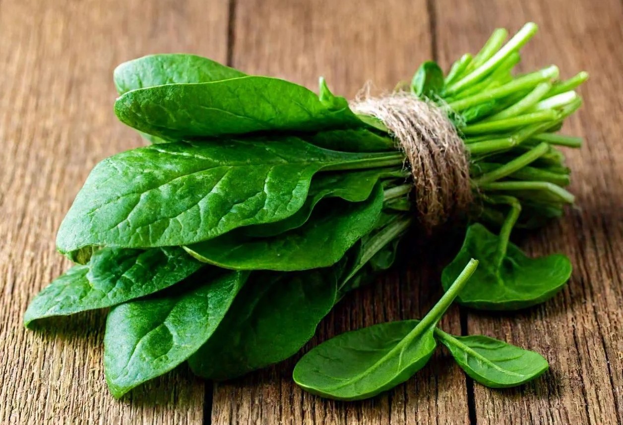 مصرف اسفناج برای لاغری