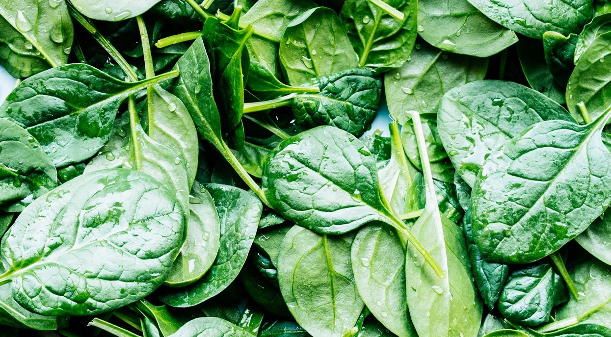 خواص اسفناج - اسفناج برای لاغری