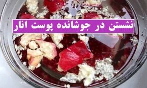 نشستن در جوشانده پوست انار