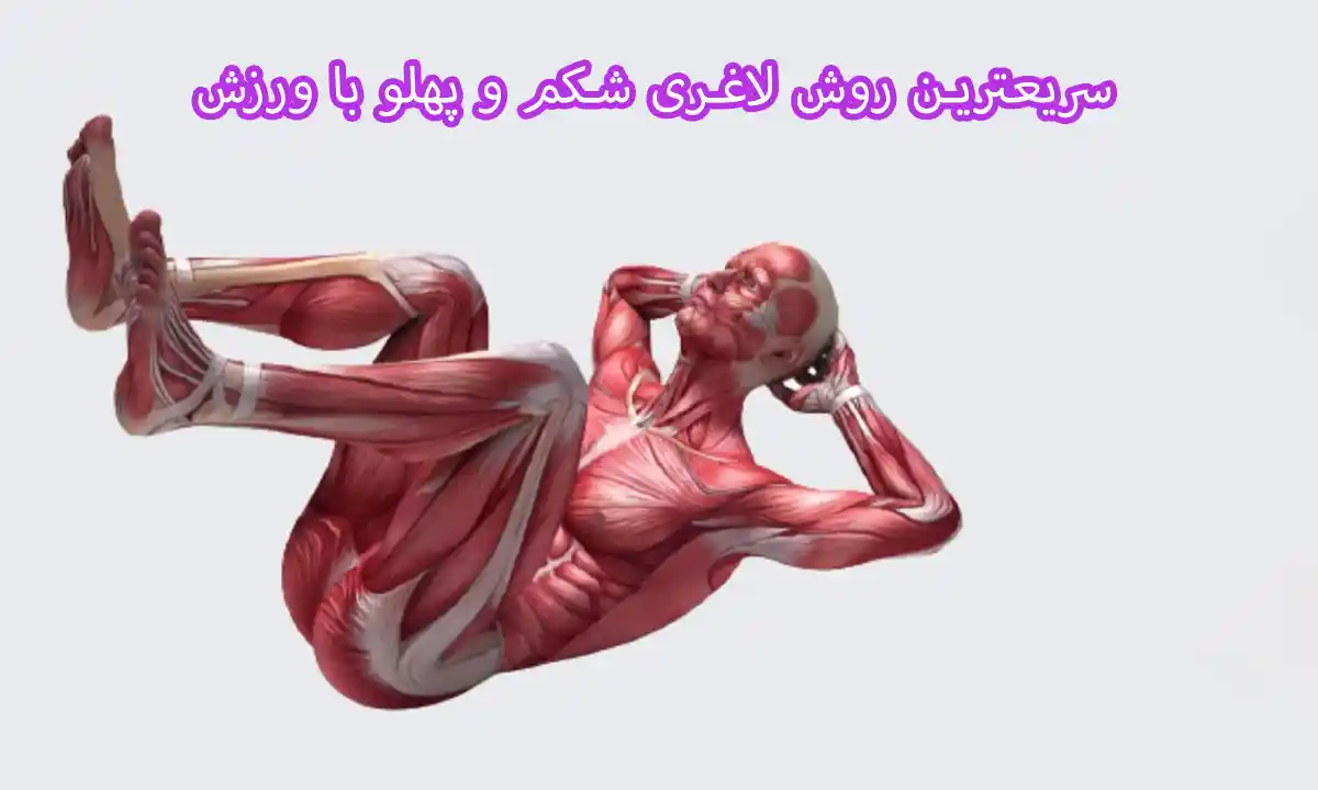 سریعترین روش لاغری شکم و پهلو به روش تمرینات قدرتی