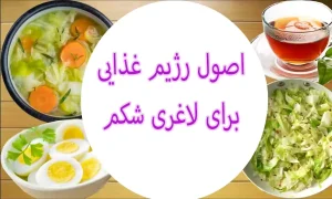 اصول رژیم غذایی برای لاغری شکم 