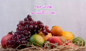 بهترین میوه بعد از کاشت مو