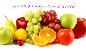 بهترین روش مصرف میوه بعد از کاشت مو