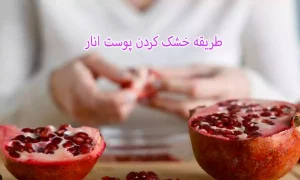 طریقه خشک کردن پوست انار
