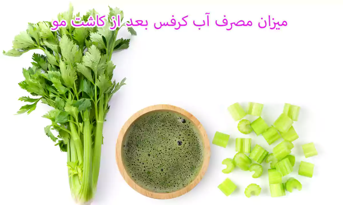میزان مصرف آب کرفس بعد از کاشت مو