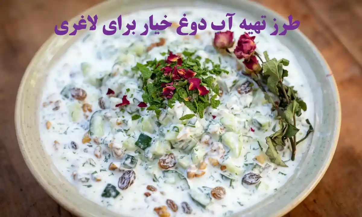 آبدوغ خیار رژیمی