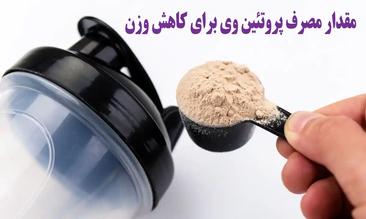 مقدار مصرف پروتئین وی برای لاغری