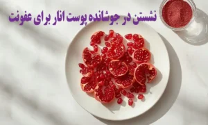 نشستن در جوشانده انار برای عفونت