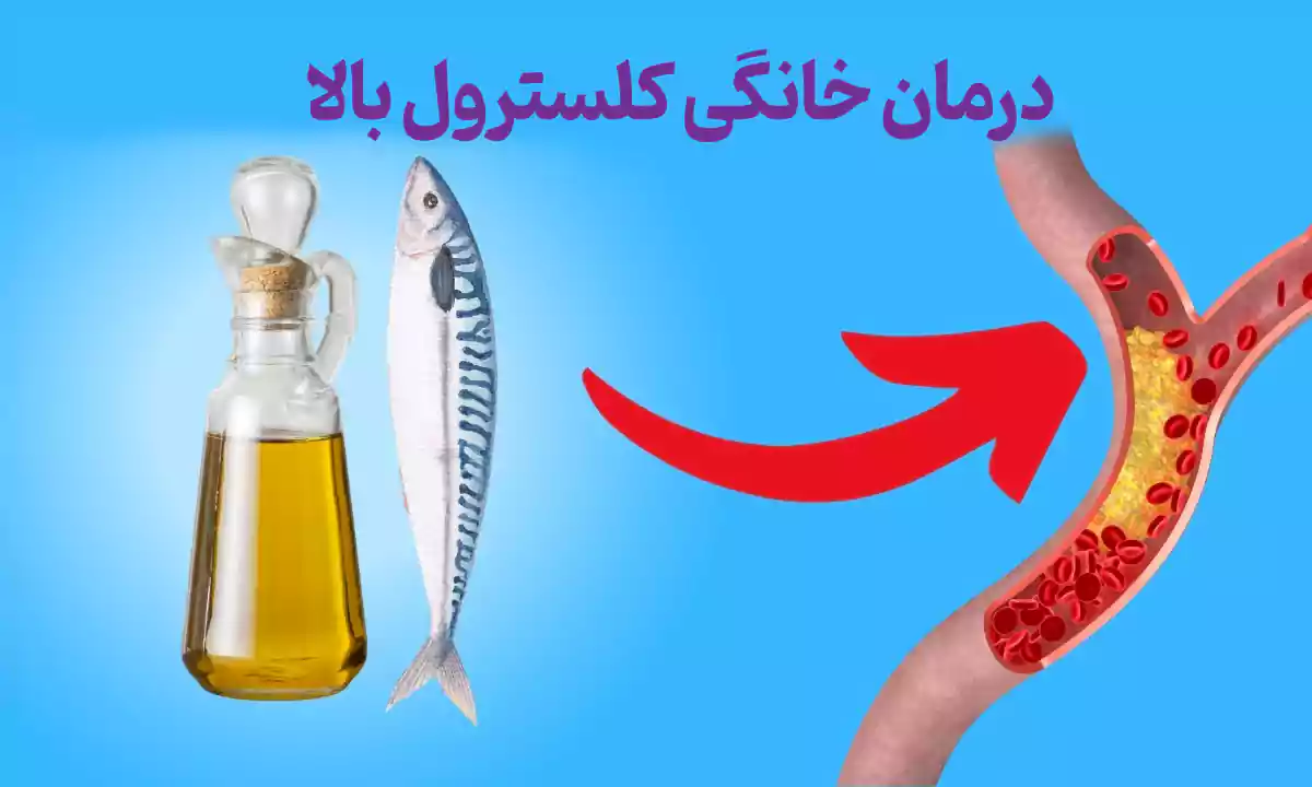 برای کاهش چربی خون چی بخوریم؟ (درمان خانگی چربی خون)