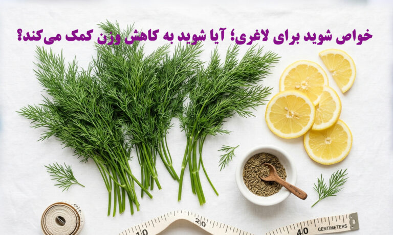 Benefits of Dill for Weight Loss-Does Dill Help with Weight Loss
