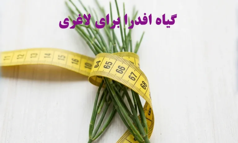 گیاه افدرا برای لاغری معجزه می کند