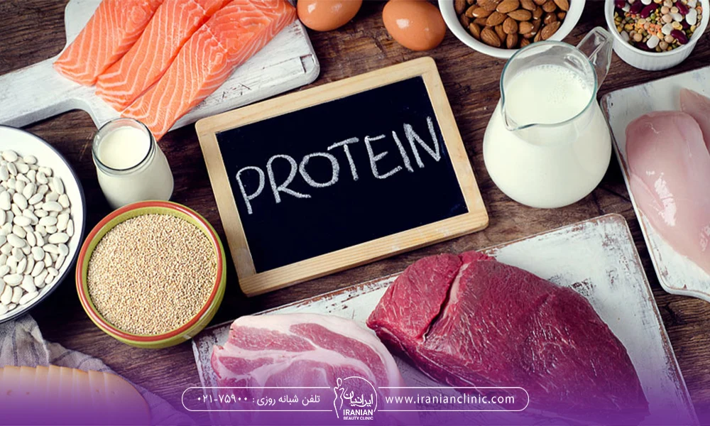 غذاهای پروتئینی