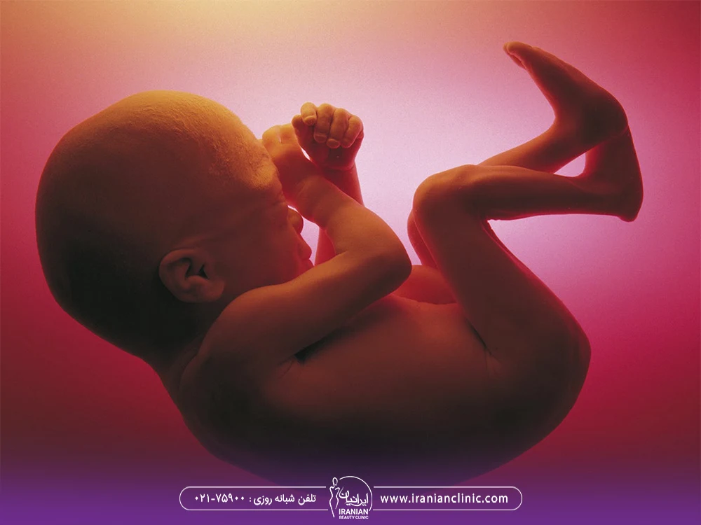 عکس جنین داخل شکم مادر